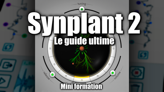 Mini formation - Synplant 2 - Le guide ultime