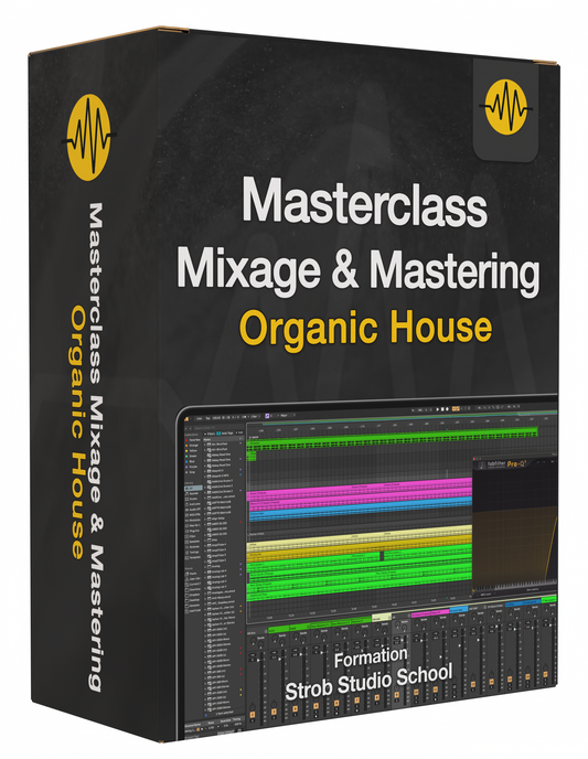 MASTERCLASS MIXAGE & MASTERING - Organic House : Petar Dundov - Experanto Pole Folder & Federico Epis Remix