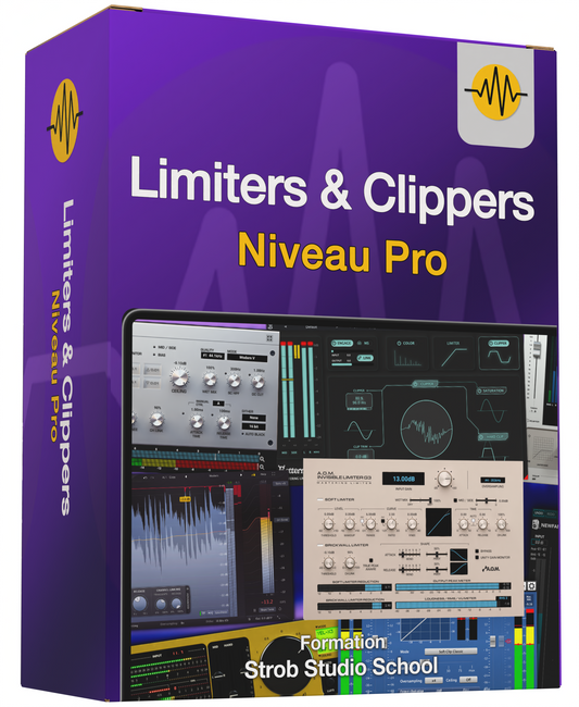 Formation Limiters & Clippers Niveau Pro