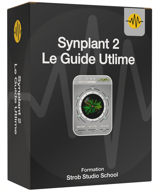 Mini formation - Synplant 2 - Le guide ultime